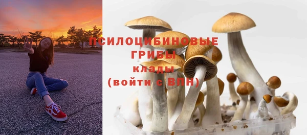 тгк Алексеевка