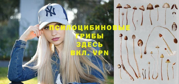 тгк Алексеевка