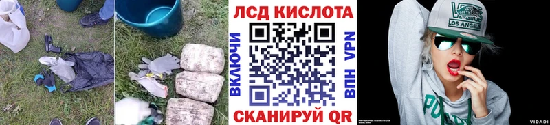 shop наркотические препараты  кракен как зайти  Волхов  ЛСД экстази ecstasy 