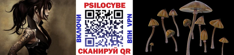 Галлюциногенные грибы MAGIC MUSHROOMS  Волхов 