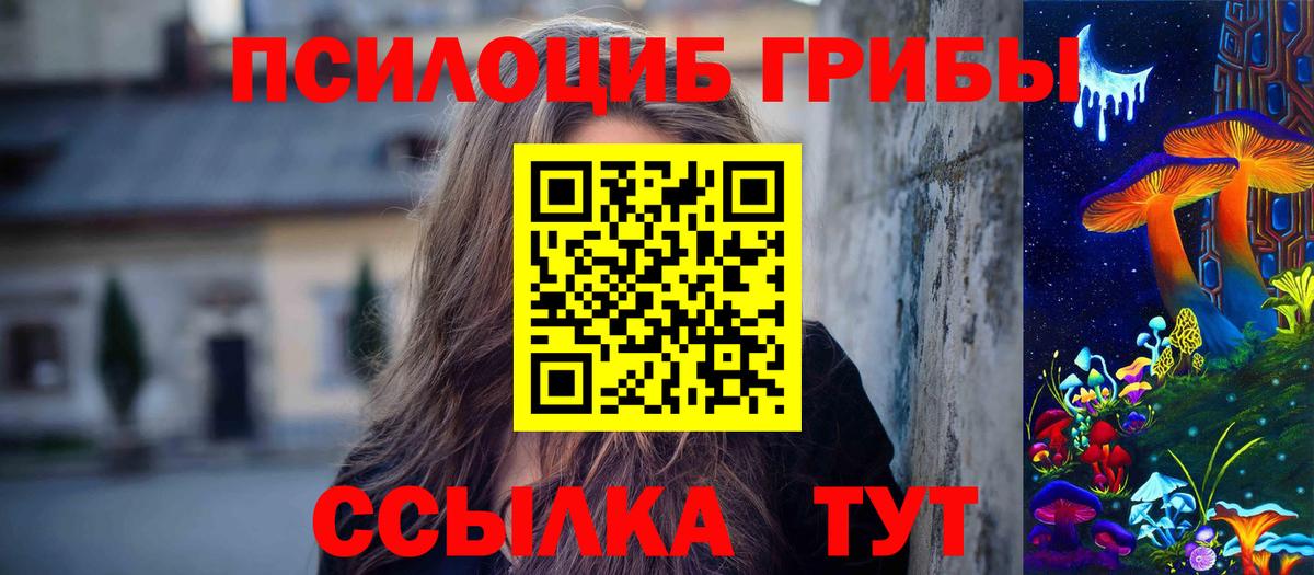 Галлюциногенные грибы мицелий Волхов