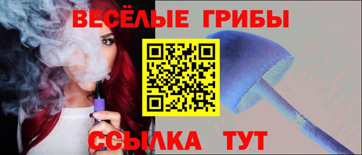 Галлюциногенные грибы GOLDEN TEACHER Волхов